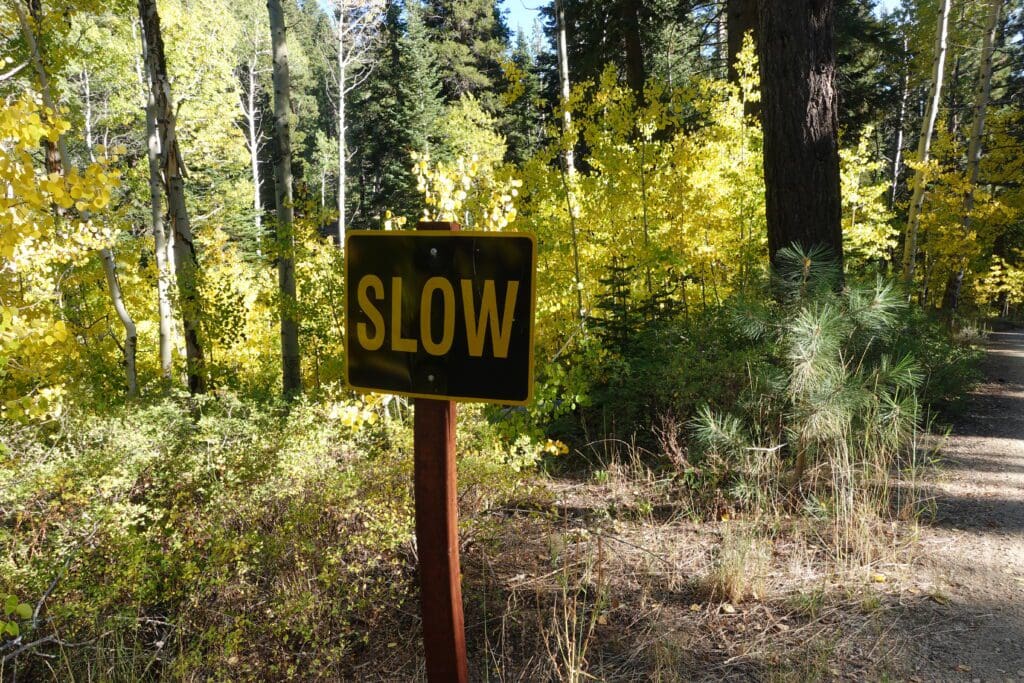 Spooner Lake State Park Fall Color